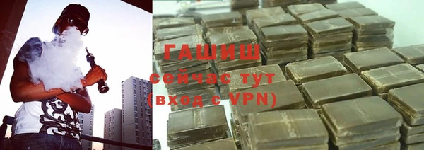 хмурый Алексин