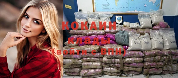 хмурый Алексин
