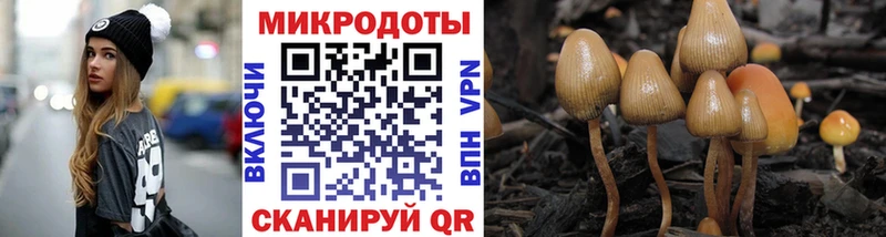 Псилоцибиновые грибы Psilocybine cubensis  дарнет шоп  Покачи 